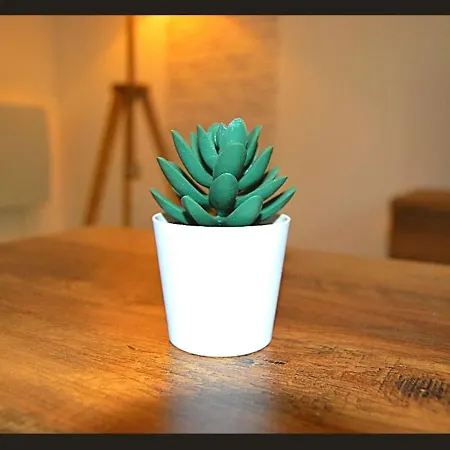 Appartamento T2 En Rdc Style Industriel 