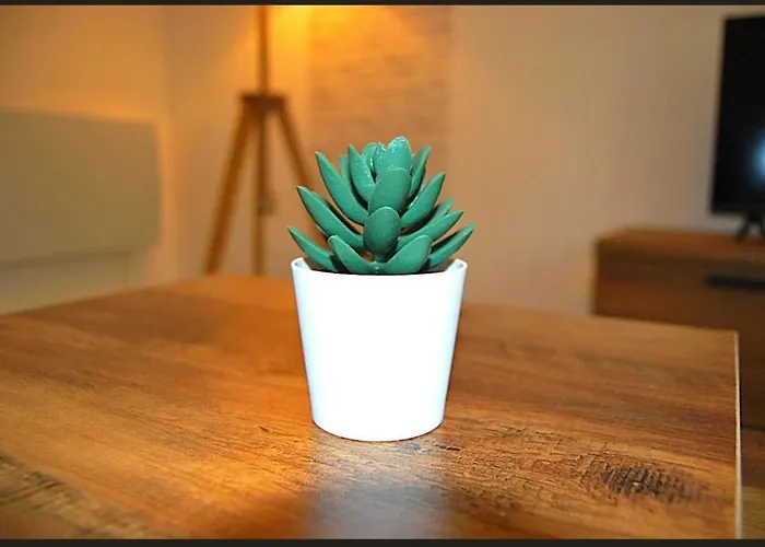 شقة T2 En Rdc Style Industriel 